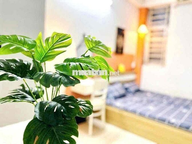 SIÊU PHẨM STUDIO ĐẦY ĐỦ TIỆN NGHI - GẦN ĐẠI HỌC CÔNG THƯƠNG