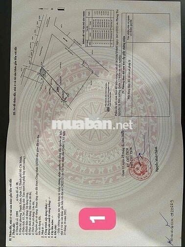 Bán 5 lô đất SHR mặt tiền giá 4,35 đến 4,85 tỷ