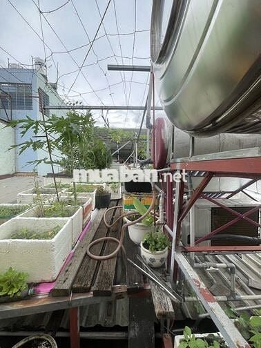 NHÀ ĐẸP GÒ VẤP, 3 TẦNG, GẦN CÔNG VIÊN LÀNG HOA, HXH, GIÁ CHỈ 4.6 TỶ TL