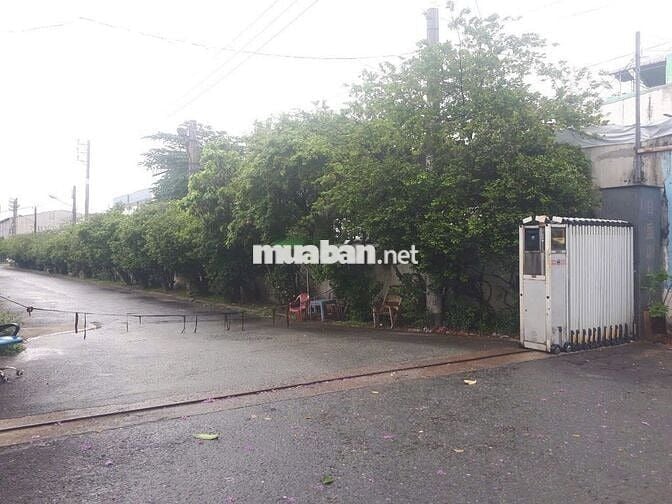 🏠BÁN NHÀ MẶT TIỀN LỚN – 309 PHAN VĂN HỚN, P. TÂN THỚI NHẤT, Q.12