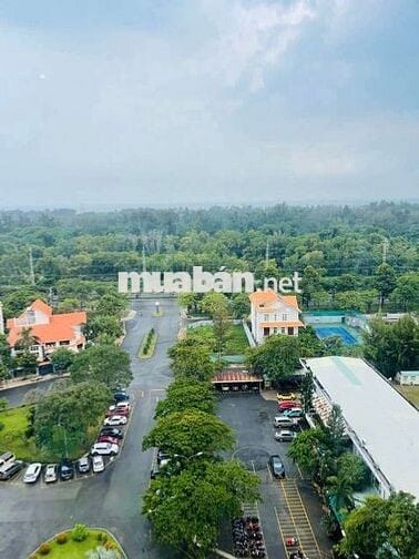 CHO THUÊ TẦNG CAO VIEW BIỂN DIC PHOENIX 2PN FULL NỘI THẤT ĐẸP MỚI SẠCH
