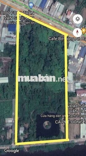 Quỹ Đất 2.1ha 3MT Trần Văn Giàu, Bình Chánh (Xã Bình Lợi HCM)