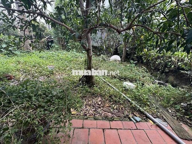 Đất Liên Mạc - 40m2 - ô tô vào đất - vị trí đẹp bay nhanh