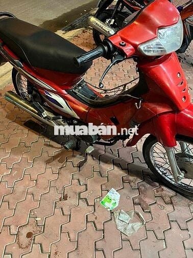 Halim wave 100