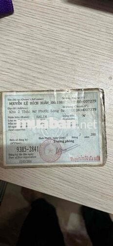 Halim wave 100