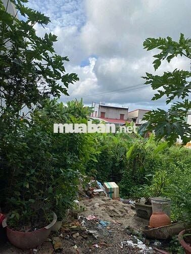 Bán 2 lô đất gần hồ tùng mậu_ cách chợ phố vài trăm mét