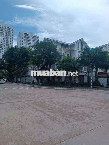 Cần bán biệt thự lô góc Khu C Gleximco – view vườn hoa.
