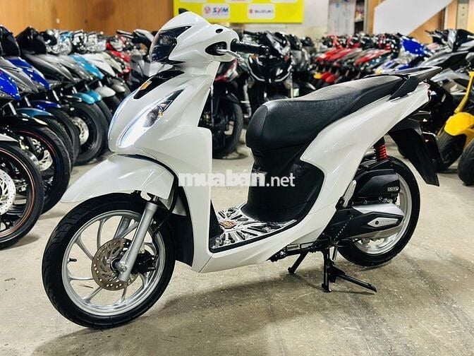 XE MÁYTHANH TÙNG_VISION 110 TRẮNG ĐỘ BIỂN 29