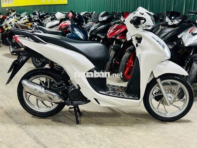 XE MÁYTHANH TÙNG_VISION 110 TRẮNG ĐỘ BIỂN 29