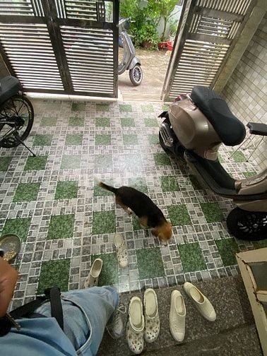 Nhà 4x20m 1 lầu Sổ Hồng riêng , Nguyễn Ảnh Thủ xã Bà điểm