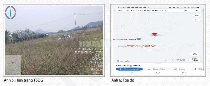 Đấu giá Quyền sử dụng đất và tài sản gắn liền với đất