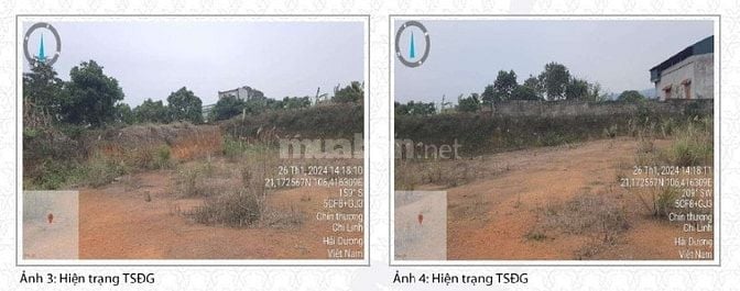 Đấu giá Quyền sử dụng đất và tài sản gắn liền với đất