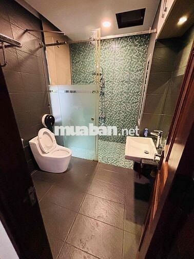 CHO THUÊ BIỆT THỰ SÂN VƯỜN 250M2 KHU VÕ VĂN KIỆT