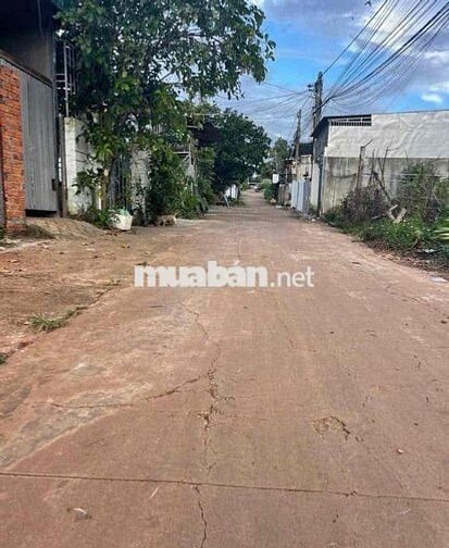 ✅Bán  Lô Đất Siêu Ðẹp Tân Lợi Hẻm 246 Y Moan