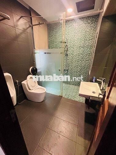 CHO THUÊ BIỆT THỰ SÂN VƯỜN 250M2 KHU VÕ VĂN KIỆT