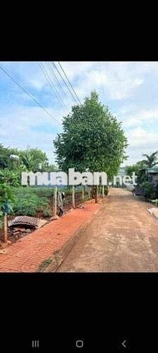 ĐẤT HẺM 19-5 CÁCH BV VÙNG TÂY NGUYÊN CHỈ 2KM !!!