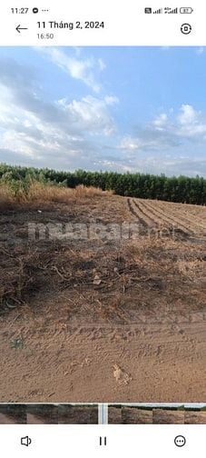 CHÍNH CHỦ BÁN ĐẤT VƯỜN 1.000M² – GIÁ CHỈ 600 TRIỆU