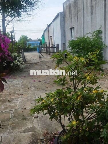 Chính chủ cần bán đất mặt tiền có nhà cấp bốn