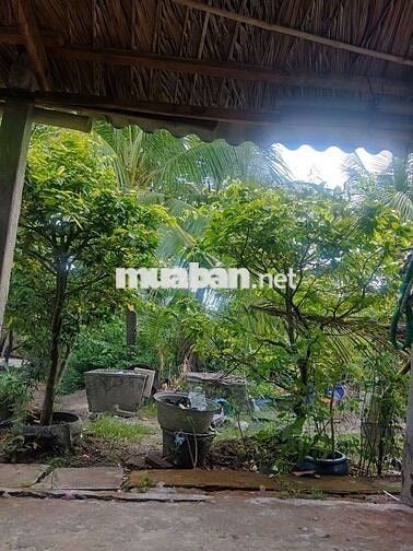 Chính chủ cần bán đất mặt tiền có nhà cấp bốn