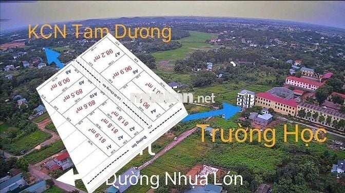 F0 Đất Hướng Đạo KCN Tam Dương Gần Trường Học,Đường nhựa va thổ cư lớn