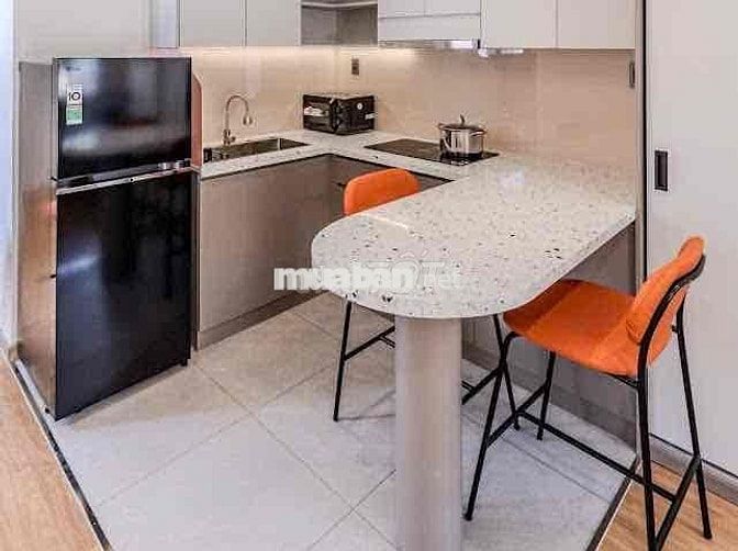CHO THUÊ CHDV Ở TÔN THẤT ĐẠM, QUẬN 1, GẦN CHỢ BẾN THÀNH, PHỐ ĐI BỘ BÙI