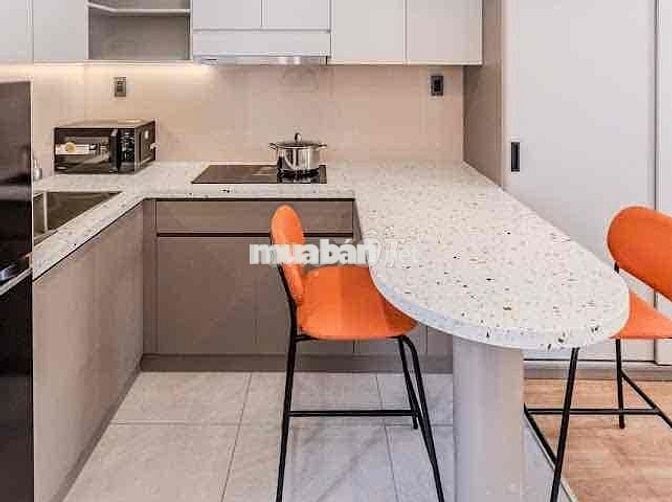CHO THUÊ CHDV Ở TÔN THẤT ĐẠM, QUẬN 1, GẦN CHỢ BẾN THÀNH, PHỐ ĐI BỘ BÙI