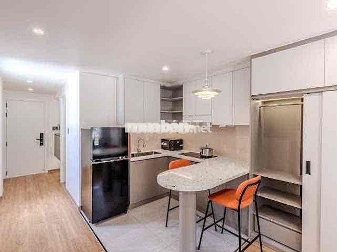 CHO THUÊ CHDV Ở TÔN THẤT ĐẠM, QUẬN 1, GẦN CHỢ BẾN THÀNH, PHỐ ĐI BỘ BÙI
