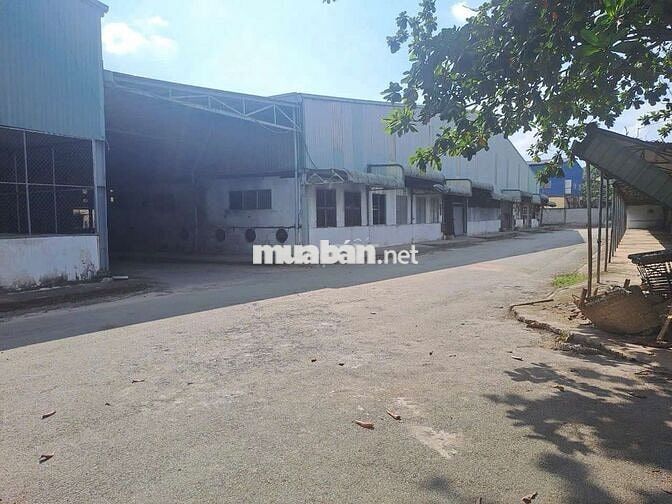 Cần bán đất xưởng SKC 1 lần 2053 tại Bình Chuẩn Thuận An Bình Dương