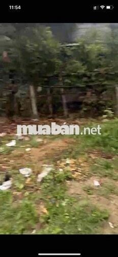 Đất ở đô thị Tại Điện Nam Bắc (cũ) giá rẻ cần bán nhanh