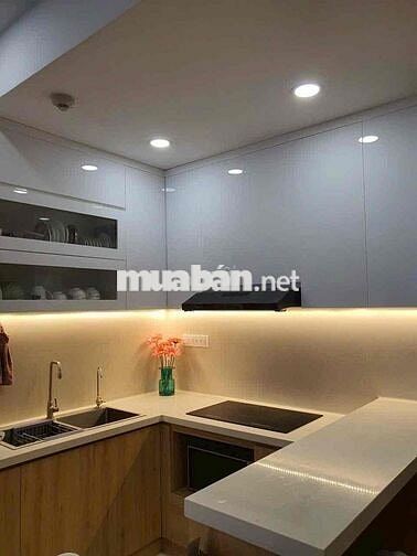🔥🔥Cho THUÊ nhanh căn hộ chung cư cao cấp BOTANICA PREMIER ,NOVALAND Gầ
