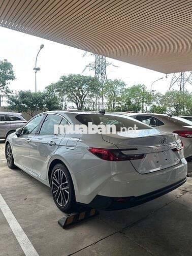 TOYOTA CAMRY 2.5 HEV TOP -  TẶNG LPTB- BH- PK