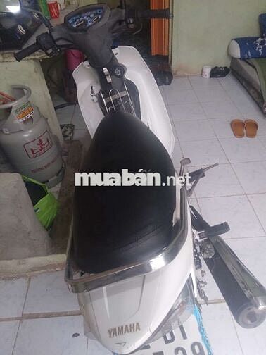 Xe trùm mền 7ngan cay giá tự hiểu