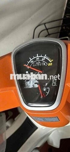 cup 50cc không cần bằng cho học sinh