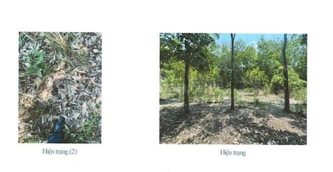 BÁN ĐẤU GIÁ TS VIB L8_XÃ TIẾN HƯNG, ĐỒNG XOÀI, BÌNH PHƯỚC