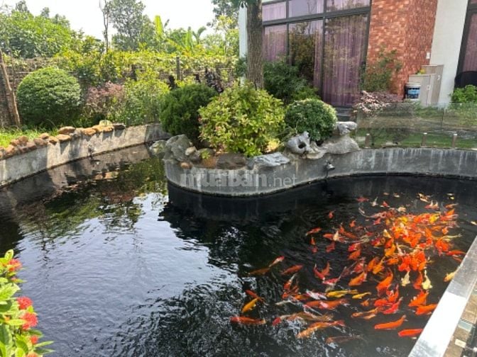 Bán khu đất vườn đã xây nhà và các bun, tiện ích như ressot 