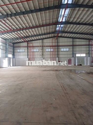 CHO THUÊ NHÀ XƯỞNG 1200M2 HOÁ CHẤT KCN XUYÊN Á – MỸ HẠNH LONG AN