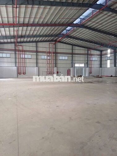 CHO THUÊ NHÀ XƯỞNG 1200M2 HOÁ CHẤT KCN XUYÊN Á – MỸ HẠNH LONG AN