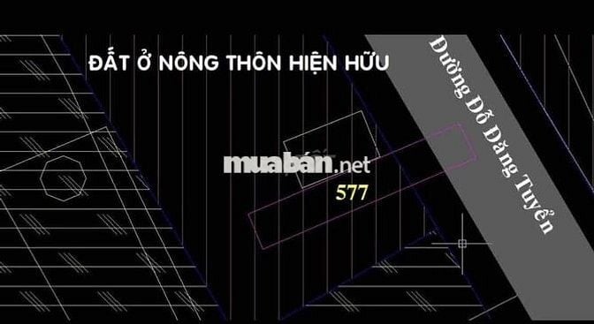 🏡 BÁN ĐẤT MẶT TIỀN ĐƯỜNG ĐỖ ĐĂNG TUYỂN – XÃ AN NHƠN TÂY, CỦ CHI (TP.HC