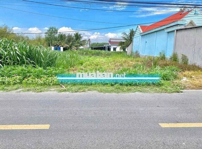 🏡 BÁN ĐẤT MẶT TIỀN ĐƯỜNG ĐỖ ĐĂNG TUYỂN – XÃ AN NHƠN TÂY, CỦ CHI (TP.HC
