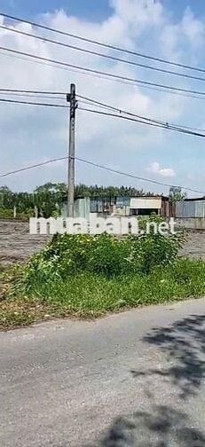 Bán vườn 1500m2 mặt tiền Nguyễn Văn Tạo, Xã Hiệp Phước, Nhà Bè