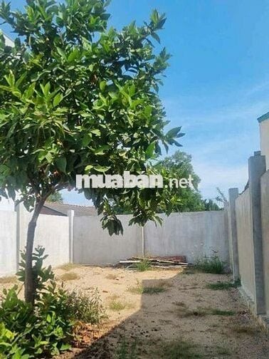 chính chủ bán lô đất MT Đ Tân Long,Tân Nhựt , Bình Chánh giá 1tỷ 530