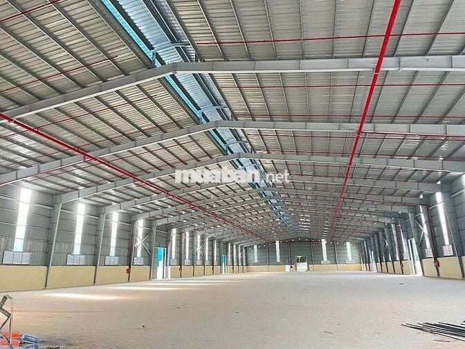 Cho thuê 5000m - 20000m nhà xưởng kcn phú mỹ thành phố hcm