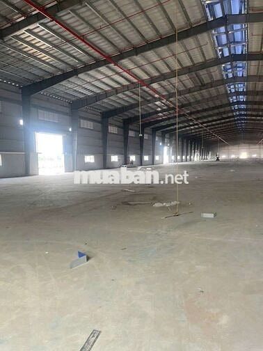 Cho thuê 5000m - 20000m nhà xưởng kcn phú mỹ thành phố hcm