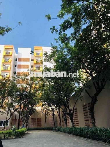 Bán căn chung cư Nest Home view pháo hoa quốc tế