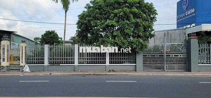 Bán đất mặt tiền ĐT 875 cai lậy tiền giang