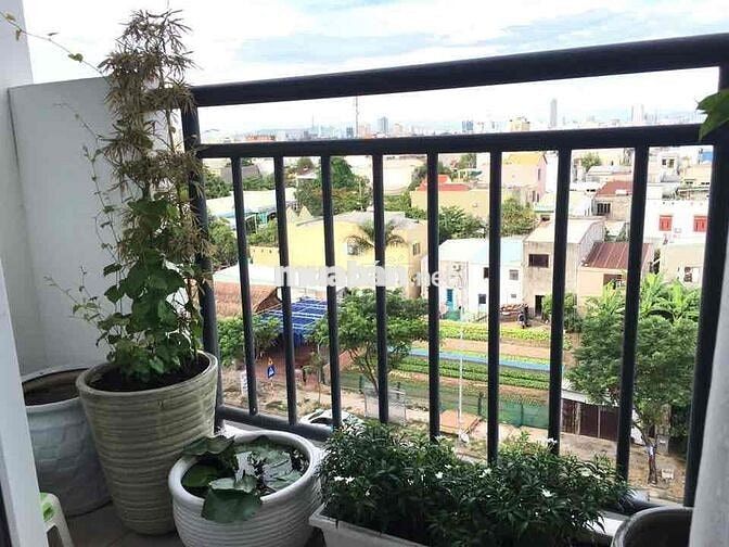 Bán căn chung cư Nest Home view pháo hoa quốc tế
