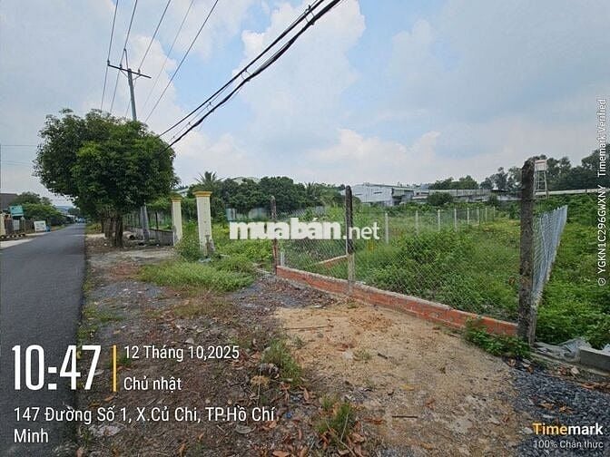 Ngộp bán nhanh 133m2 thổ 1/ Trần Văn Chẩm - Phước Vĩnh An. Giá 1,5 tỷ