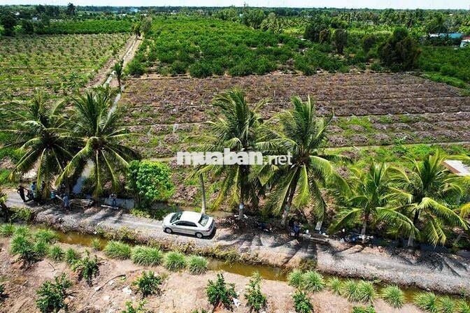 1000m DT Đẹp 20x50m sổ hiển thị đường