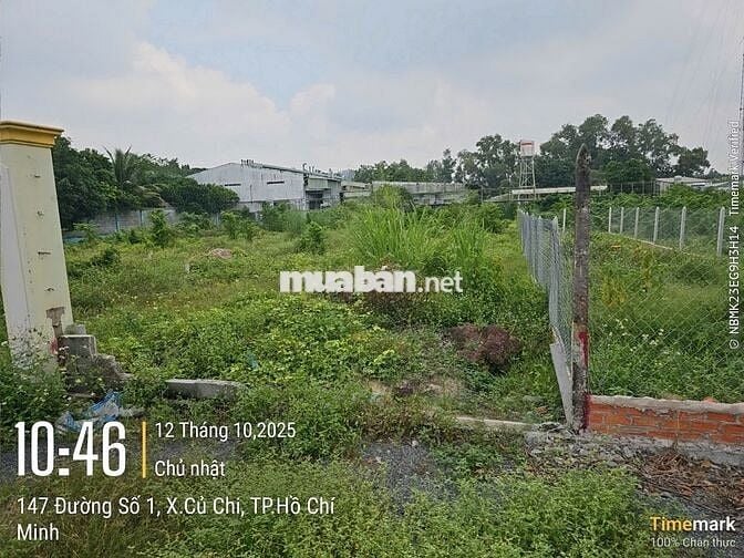 Ngộp bán nhanh 133m2 thổ 1/ Trần Văn Chẩm - Phước Vĩnh An. Giá 1,5 tỷ