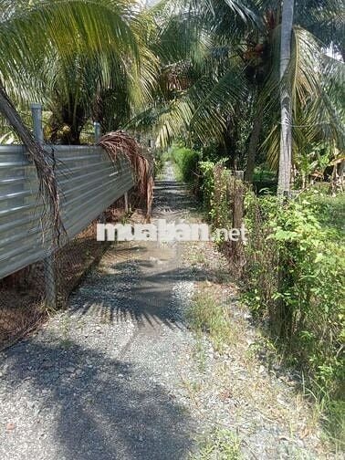 Đất xã TQT 128.5m2 có 100m2 đất ở